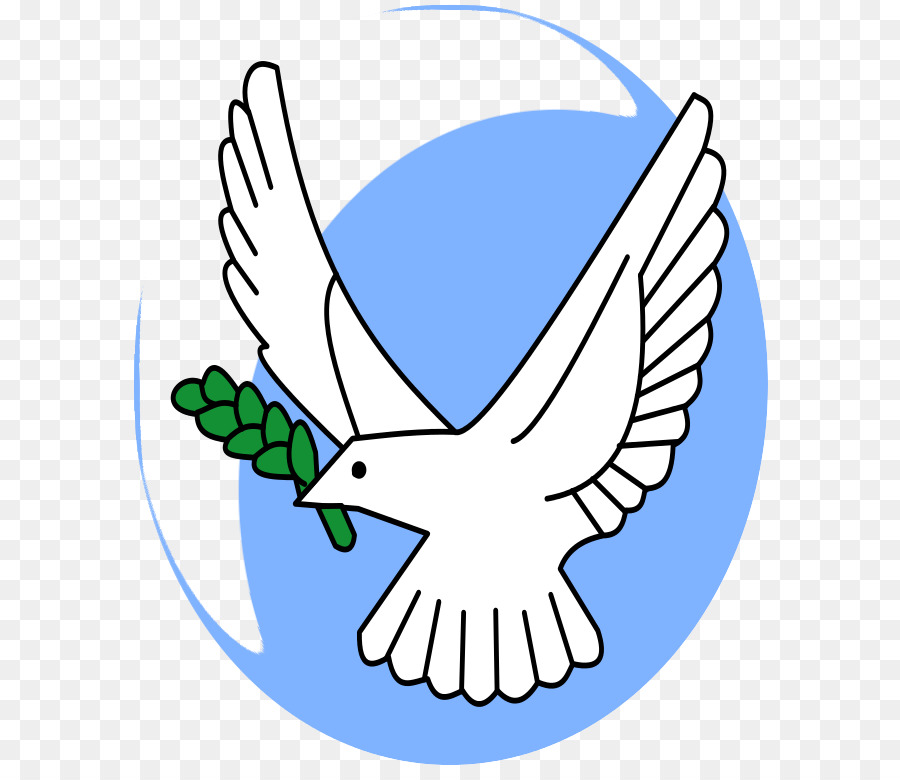 Olive Branch Petition Columbidae Symbol - Picture Of Dove With Olive Branch png download - 640*768 - Free Transparent Olive Branch Petition png Download.