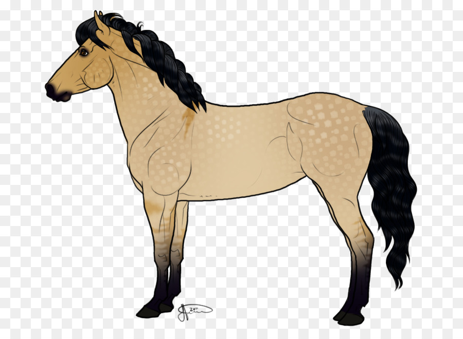 Icelandic horse Foal Drawing Draft horse Clip art - Pictures Of Horse Drawings png download - 770*656 - Free Transparent Icelandic Horse png Download.