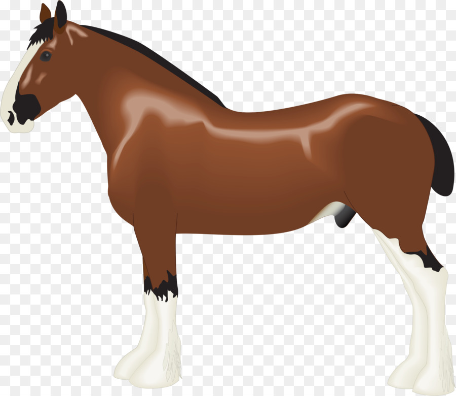 Clydesdale horse Albanian horse Draft horse Clip art - horse png download - 2056*1781 - Free Transparent Clydesdale Horse png Download.