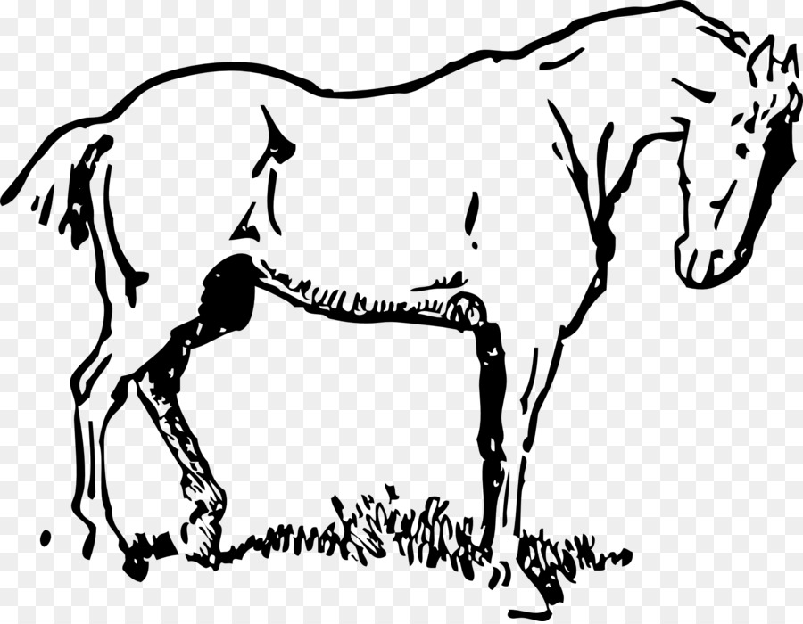 Draft horse Clip art White Free content - horse clipart png clipartix png download - 1920*1486 - Free Transparent Horse png Download.