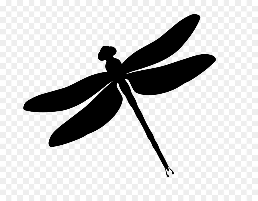 Silhouette Dragonfly Stencil Art Clip art - watercolour border png download - 1000*760 - Free Transparent Silhouette png Download.