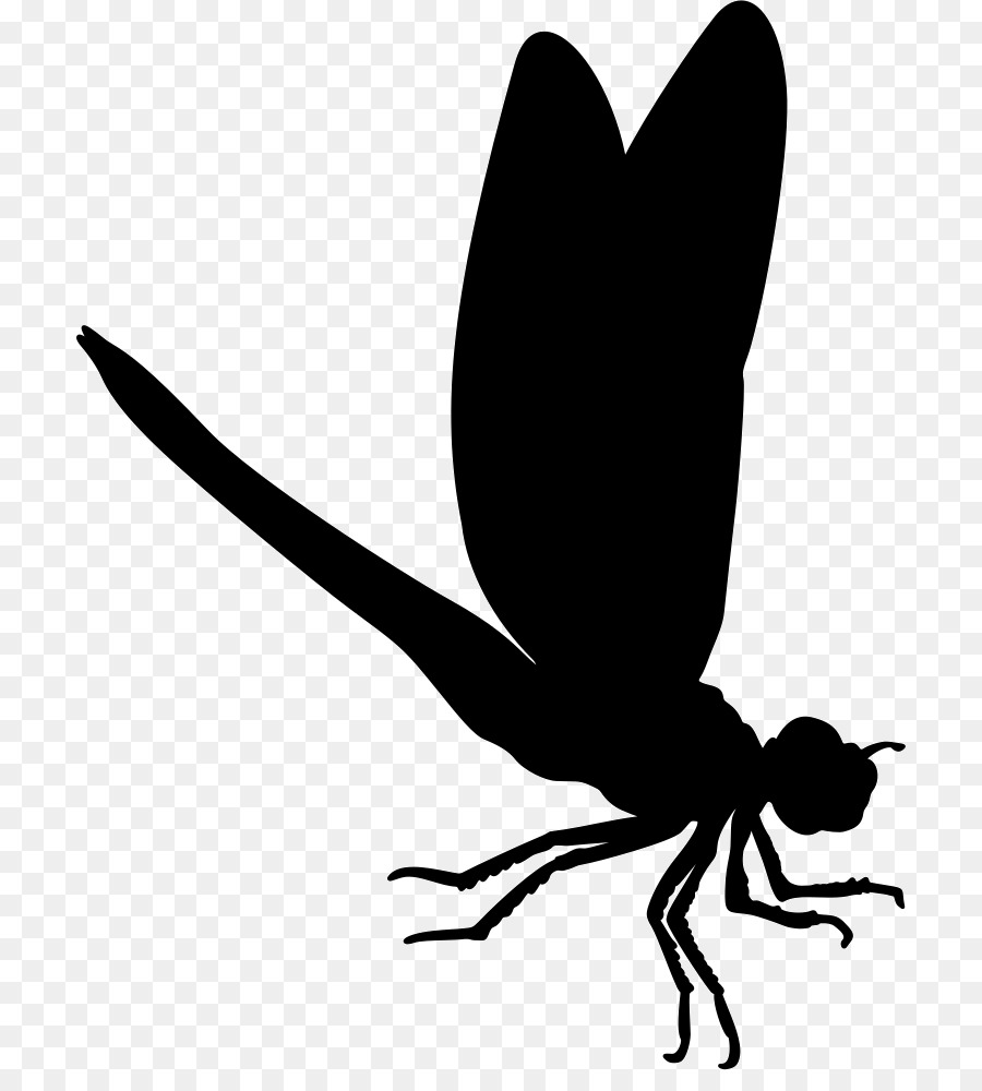 Insect Dragonfly Silhouette Image Vector graphics - insect png download - 760*981 - Free Transparent Insect png Download.