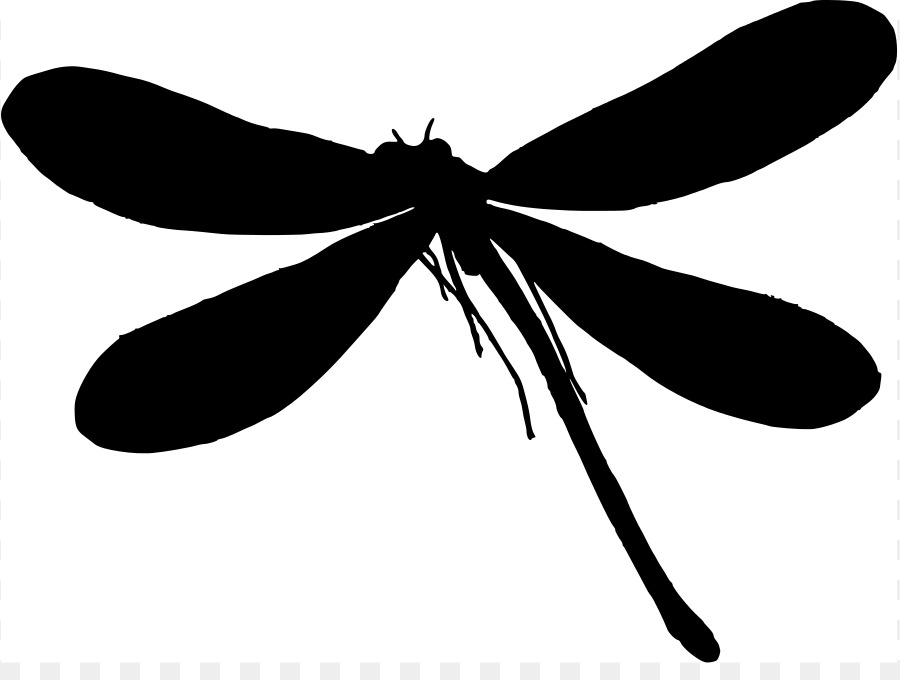 Silhouette Dragonfly Clip art - Dragonfly Graphics png download - 897*663 - Free Transparent Silhouette png Download.