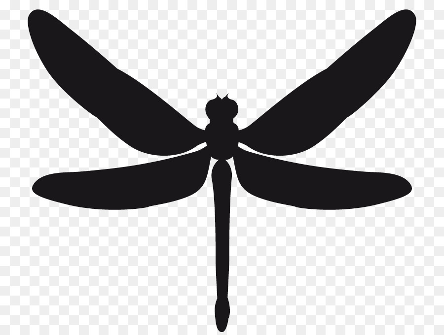 Stencil Sticker Dragonfly Insect - dragonfly png download - 800*674 - Free Transparent Stencil png Download.
