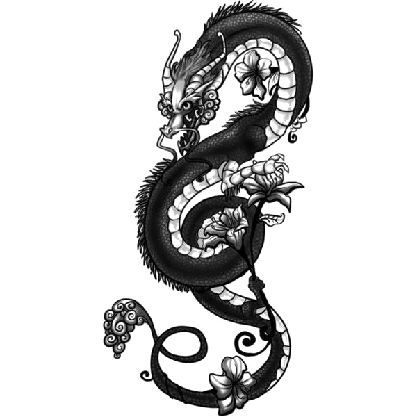 Chinese Dragon Japanese Dragon Fantasy Tattoo Png Clipart Art Black ...