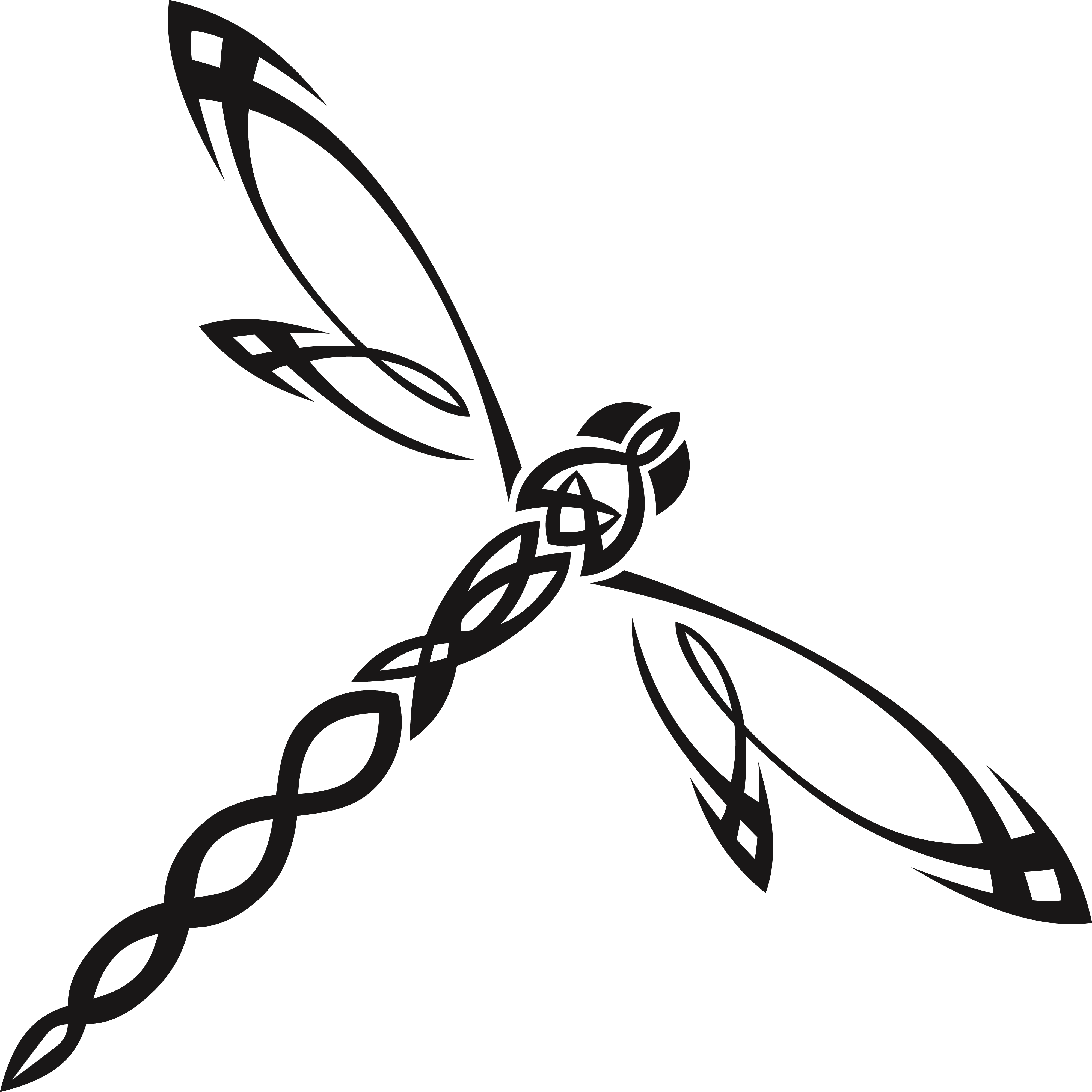 Dragonfly Insect Clip art - dragonfly png download - 4000*4000 - Free ...