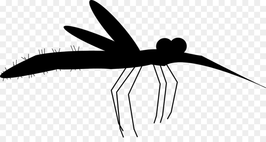 Insect Black & White - M Angle Line Clip art -  png download - 1280*661 - Free Transparent Insect png Download.