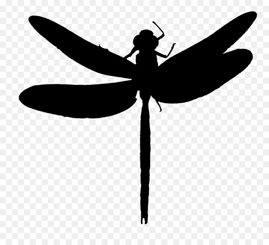 Dragonfly Insect Clip art Line Silhouette -  png download - 1583*1440 - Free Transparent Dragonfly png Download.