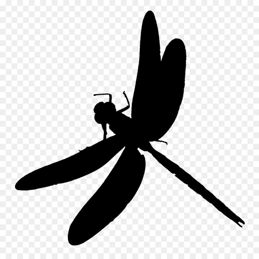 Insect Clip art Silhouette Pollinator Dragonfly -  png download - 1024*1021 - Free Transparent Insect png Download.