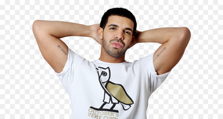 Drake Cartoon png download - 534*720 - Free Transparent Uncharted