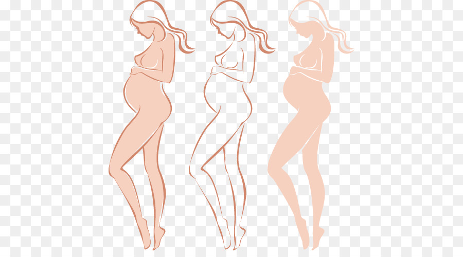Pregnancy Woman Drawing - Pregnant women vector png download - 480*488 - Free Transparent  png Download.