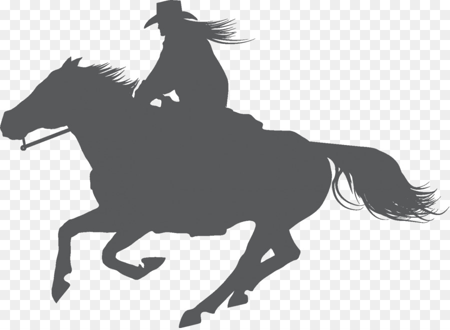 Equestrian American Quarter Horse Stallion English riding Dressage - horse riding png download - 1600*1167 - Free Transparent Equestrian png Download.