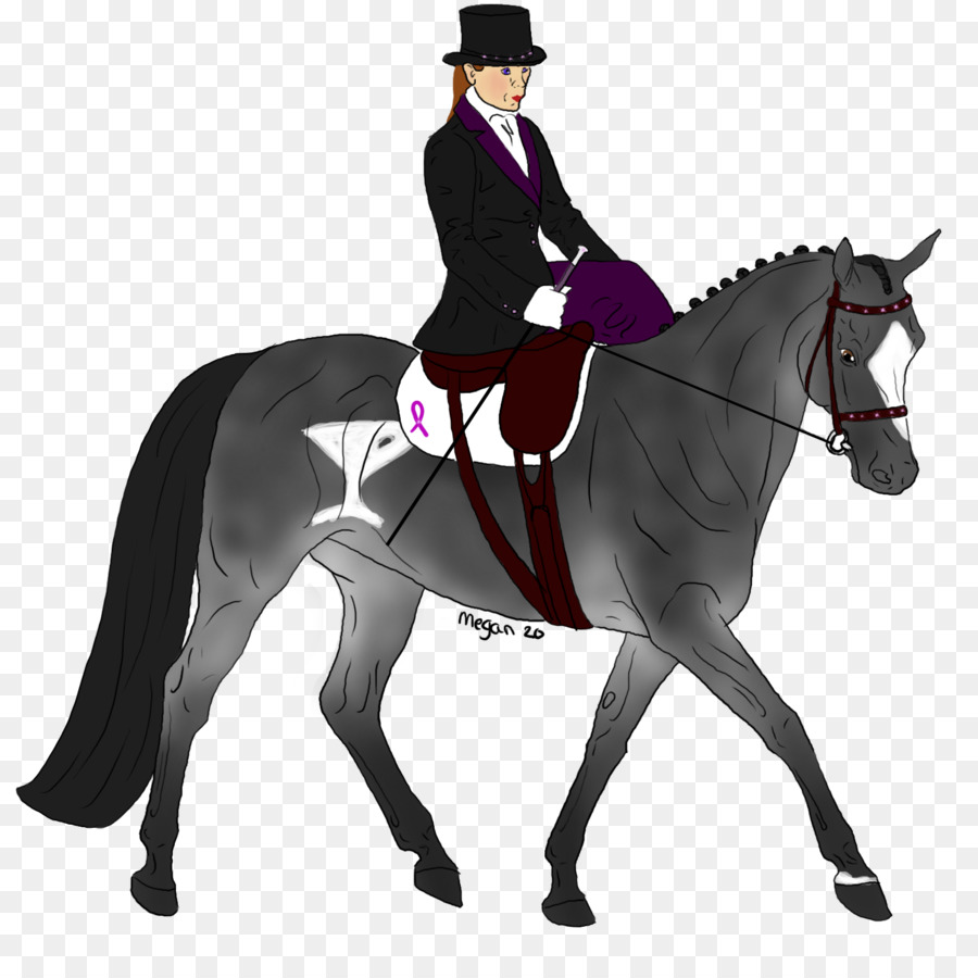 Hunt seat Stallion Horse Bridle Dressage - horse png download - 900*881 - Free Transparent Hunt Seat png Download.
