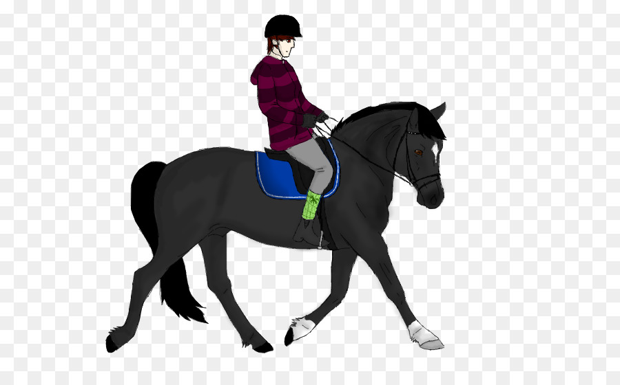 Stallion Dressage Horse Pony Equestrian - horse png download - 800*548 - Free Transparent Stallion png Download.