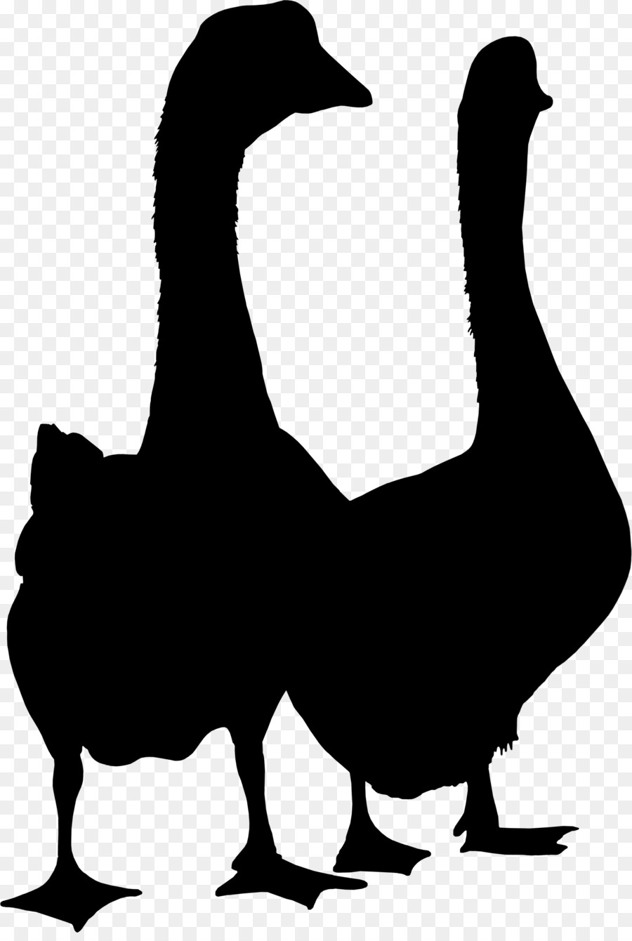 Duck Goose Clip art Fauna Silhouette -  png download - 2026*2990 - Free Transparent Duck png Download.