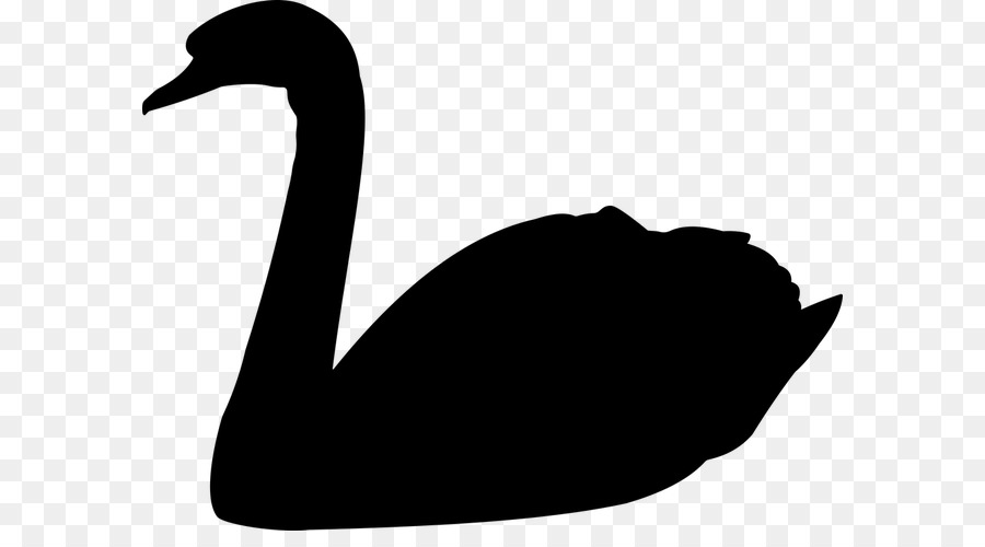 Mute swan Black swan Vector graphics Bird Clip art - swimming duck silhouette png flying png download - 640*485 - Free Transparent Mute Swan png Download.