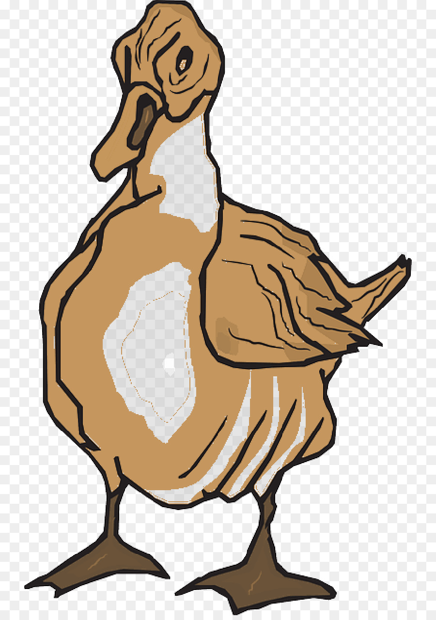 Duck Clip art Goose Portable Network Graphics Vector graphics - brown feathers png download - 800*1270 - Free Transparent Duck png Download.