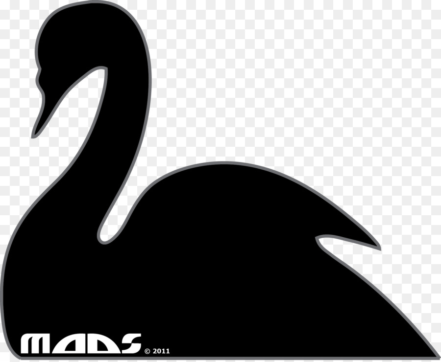 Goose Duck Black swan Water bird - swan png download - 1779*1459 - Free Transparent Goose png Download.