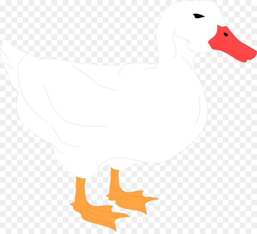American Pekin Duck Mallard Clip art - Duck White Cliparts png download - 958*865 - Free Transparent American Pekin png Download.