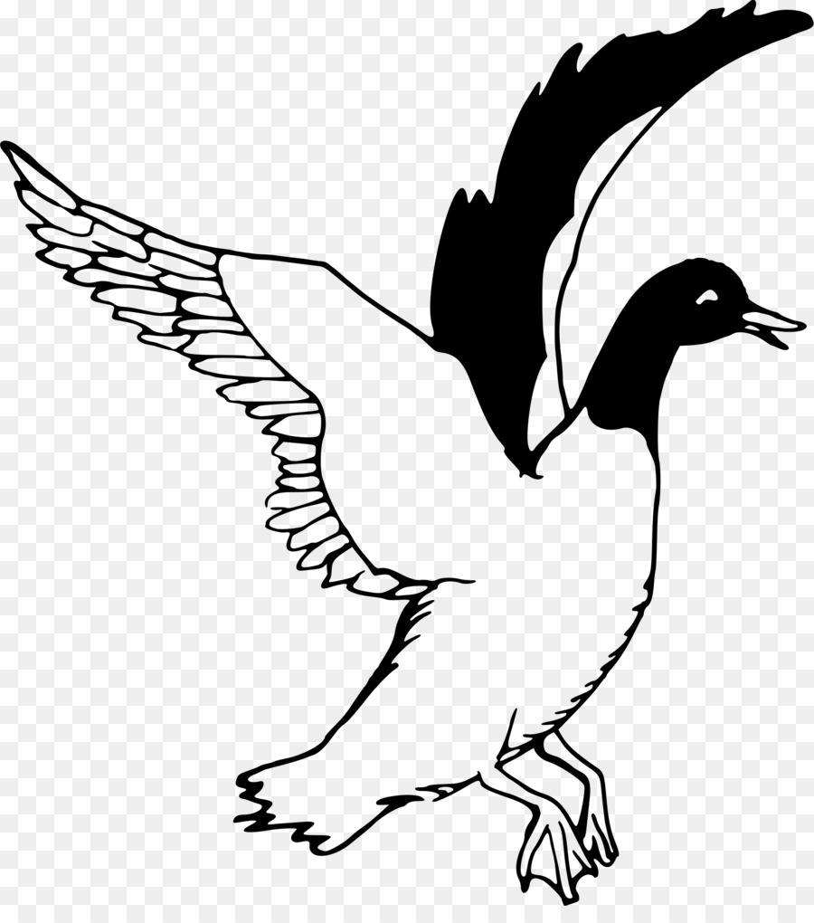 Duck decoy Bird Clip art - flying bird png download - 2157*2400 - Free Transparent Duck png Download.