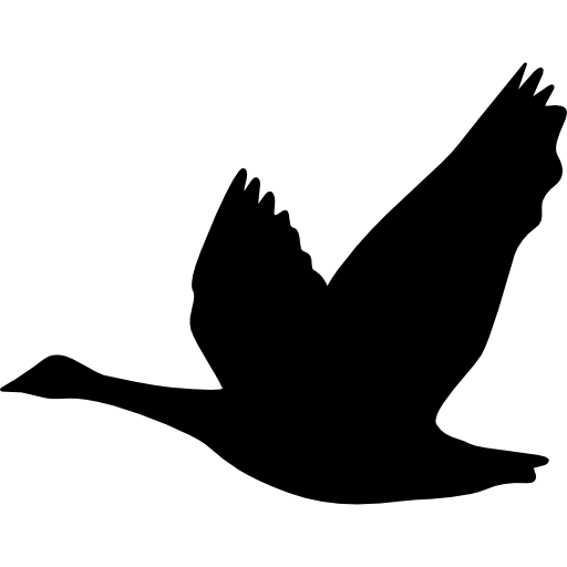 Goose Bird Duck Silhouette Ganso - goose png download - 512*512 - Free ...