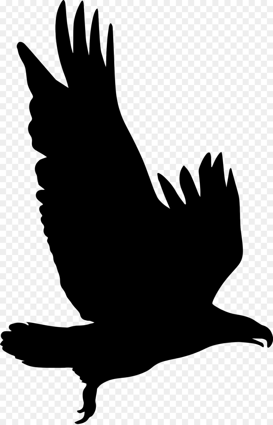 Silhouette Eagle Clip art - eagle png download - 1491*2314 - Free Transparent Silhouette png Download.