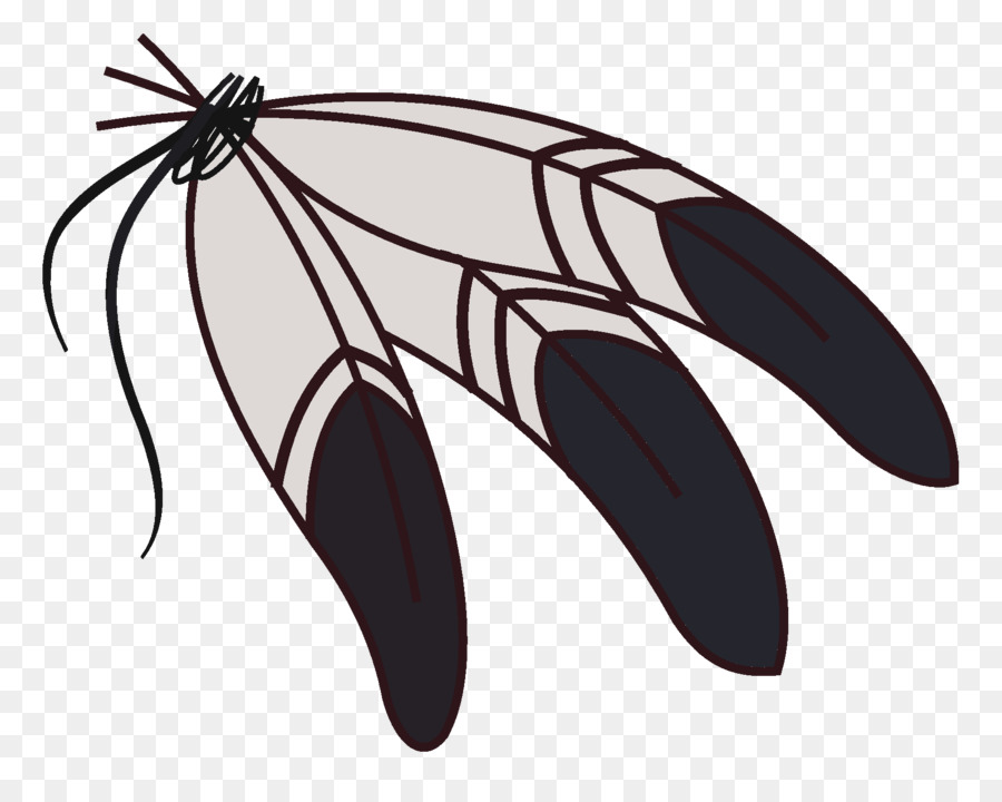 Eagle feather law Native Americans in the United States Clip art - Free Eagle Images png download - 900*705 - Free Transparent Feather png Download.
