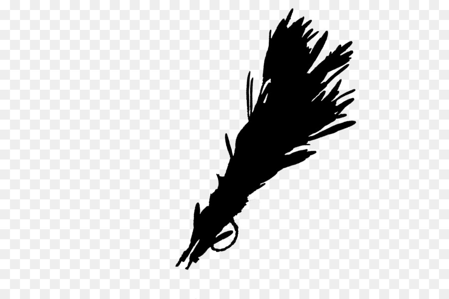 Bald eagle Beak Feather Font Quill -  png download - 600*600 - Free Transparent Bald Eagle png Download.