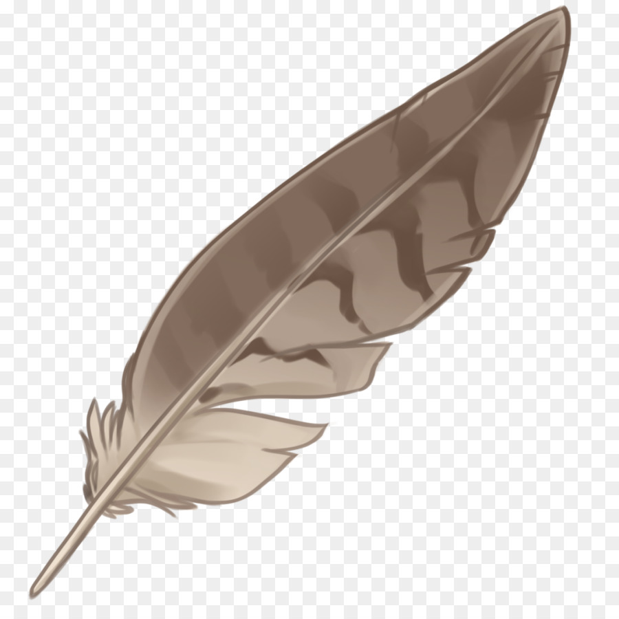 Eagle feather law Portable Network Graphics Native Indian Feathers Image - feather png download - 1024*1024 - Free Transparent Feather png Download.
