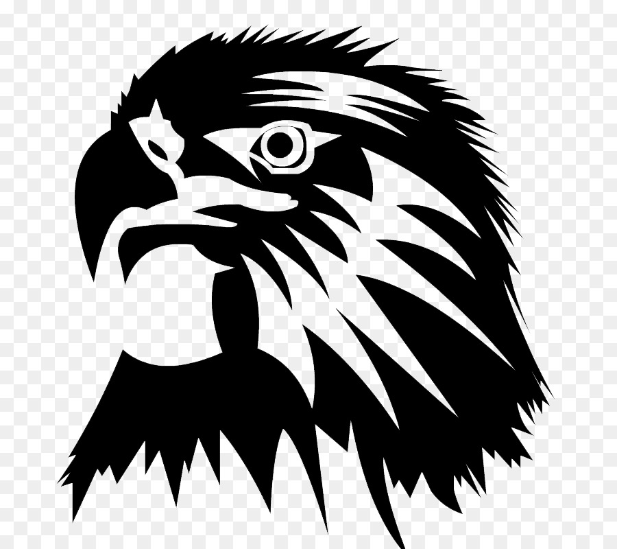 Eagle Clip art - Eagle Head PNG Image png download - 800*800 - Free Transparent Bald Eagle png Download.
