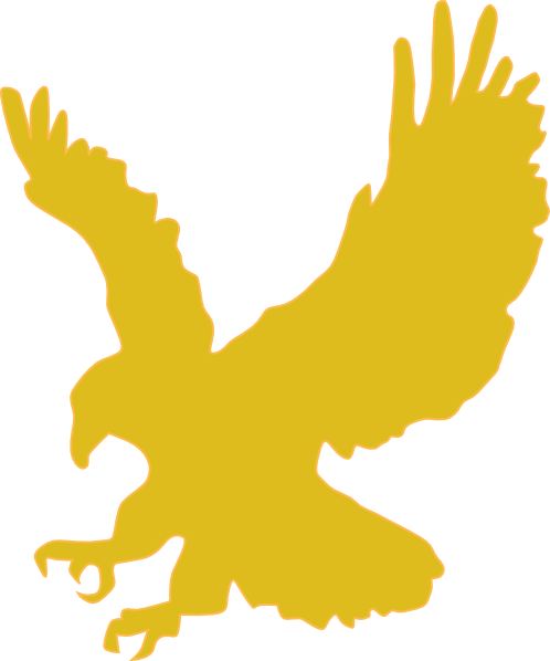 Bald Eagle Silhouette Clip art - albania crest png download - 498*598 ...