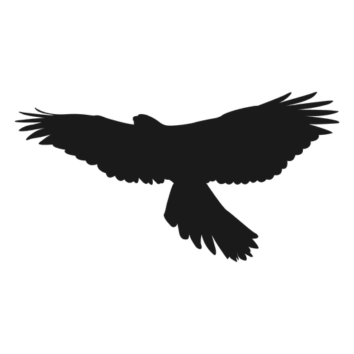 Warsaw Bird Silhouette Clip art - eagle png download - 512*512 - Free ...