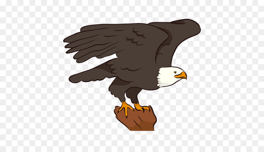 Bald eagle Vector graphics Beak Bird - eagle wings png svg vector png download - 512*512 - Free Transparent Bald Eagle png Download.