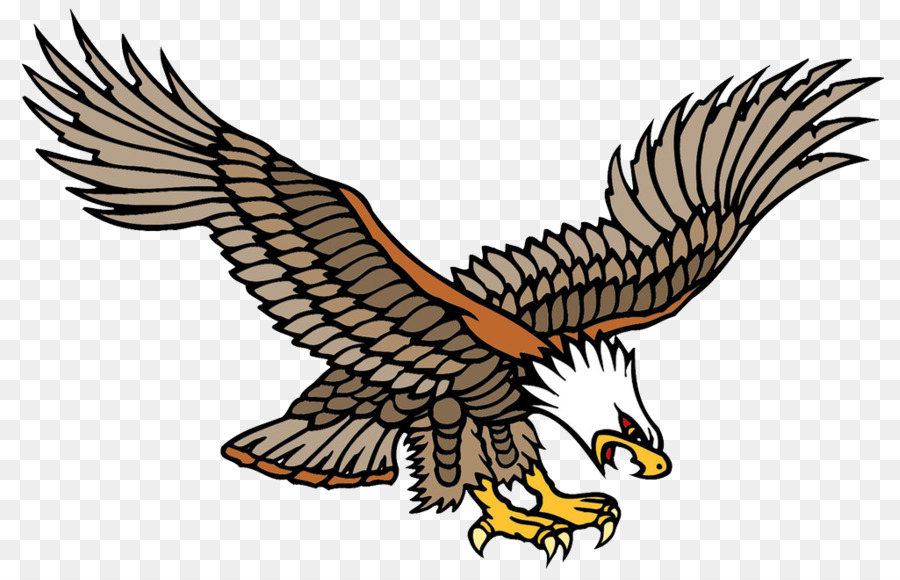 Old school (tattoo) Bald Eagle Tattoo artist - Flying the sea carving computer painting pictures png download - 1024*657 - Free Transparent Tattoo png Download.