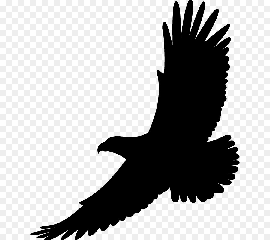 Tattoo Eagle Blackandwhite Eaglehead - Simple Eagle Tattoos Designs  Transparent PNG - 584x674 - Free Download on NicePNG