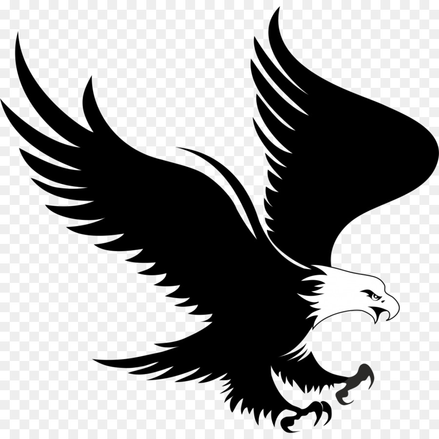 Bald Eagle Logo Clip art - eagle png download - 1000*1000 - Free Transparent Bald Eagle png Download.