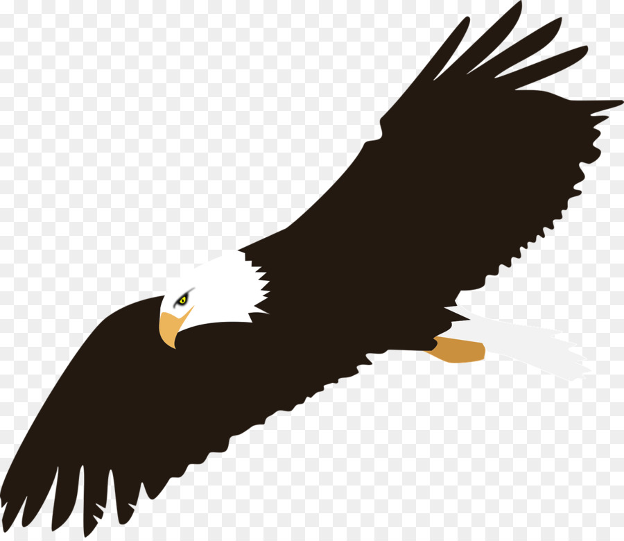 Eagle Clip art - eagle png download - 1280*1102 - Free Transparent Eagle png Download.