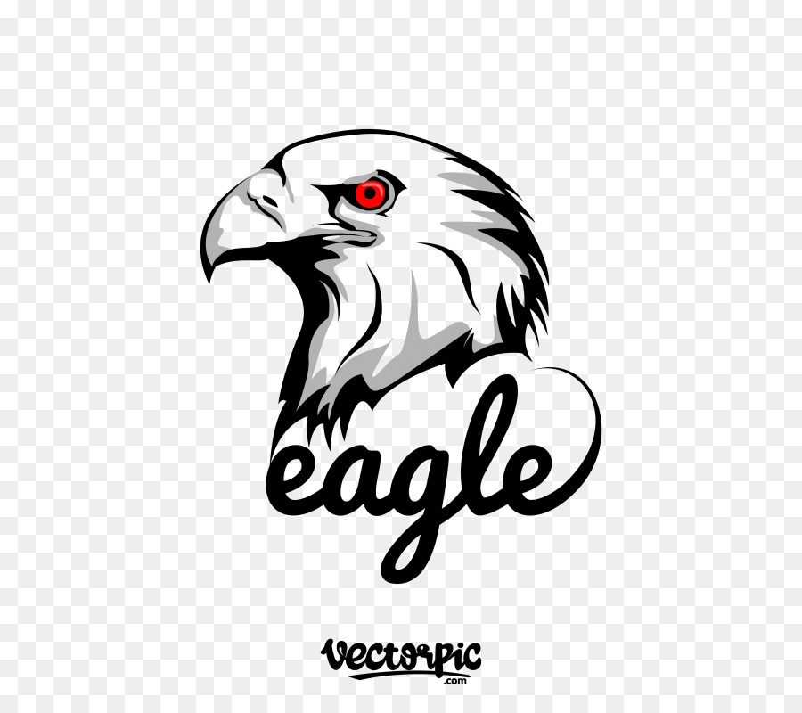 Logo Vector graphics Eagle Design CorelDRAW - west coast eagles logo png download - 800*800 - Free Transparent Logo png Download.