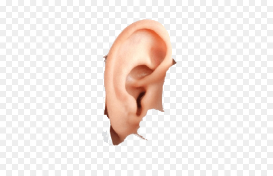 Hearing aid Hyperacusis Earwax - ear png download - 850*563 - Free Transparent  png Download.