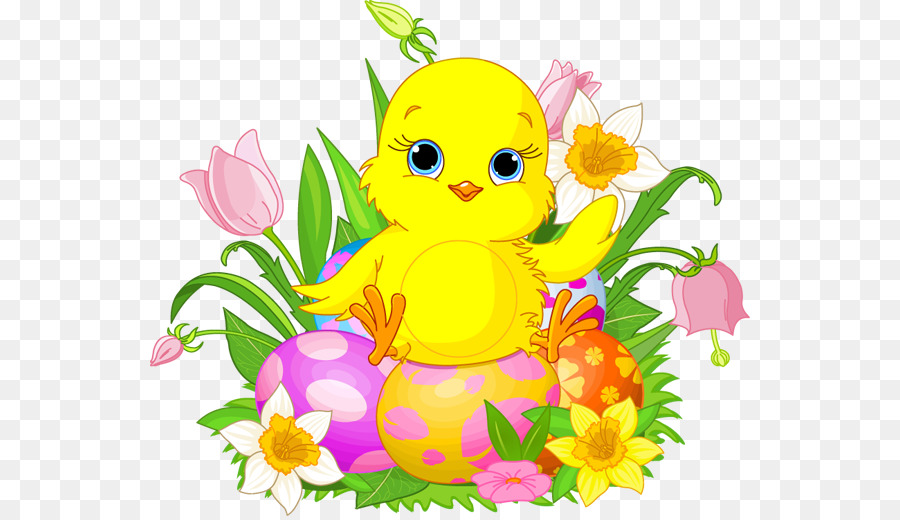 Chicken Easter Clip art - Easter Chick Pictures png download - 600*516 - Free Transparent Chicken png Download.