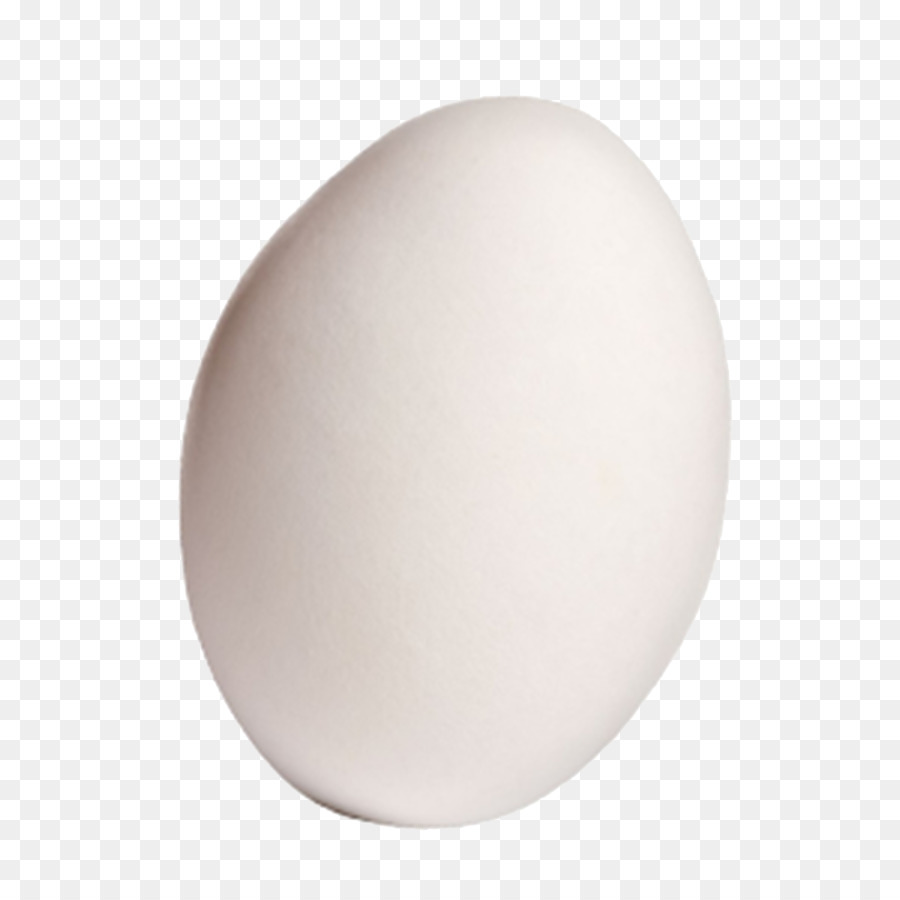 Domestic goose Egg - A goose png download - 1000*1000 - Free Transparent Goose png Download.