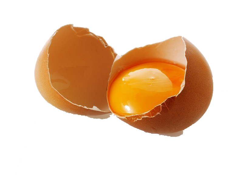 Cracked Egg Png Image Transparent Image Download - vrogue.co