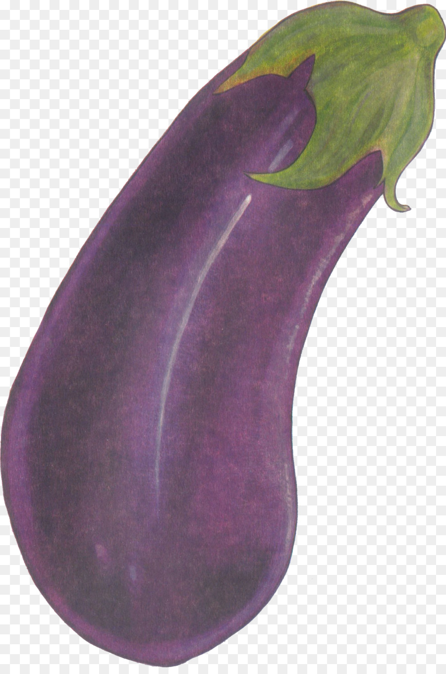 Eggplant Purple Health Love - eggplant png download - 1427*2135 - Free Transparent Eggplant png Download.