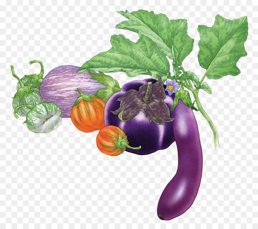 Eggplant Fruit Vegetable Tomato - Real eggplant png download - 2863*2529 - Free Transparent Eggplant png Download.