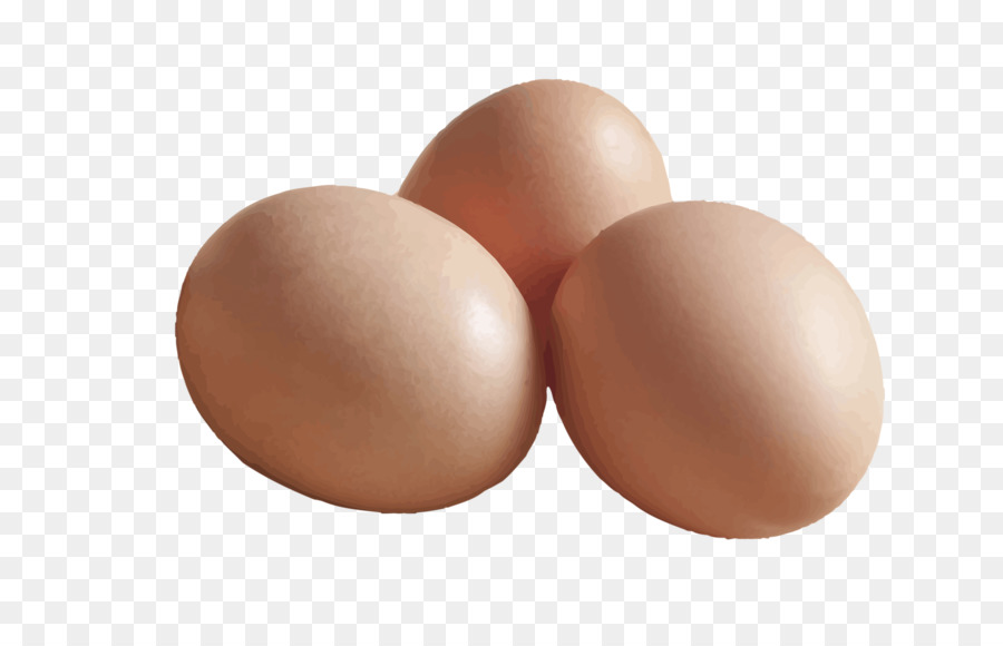Egg Brown - Hand-painted eggs vector png download - 6574*4167 - Free Transparent Egg png Download.