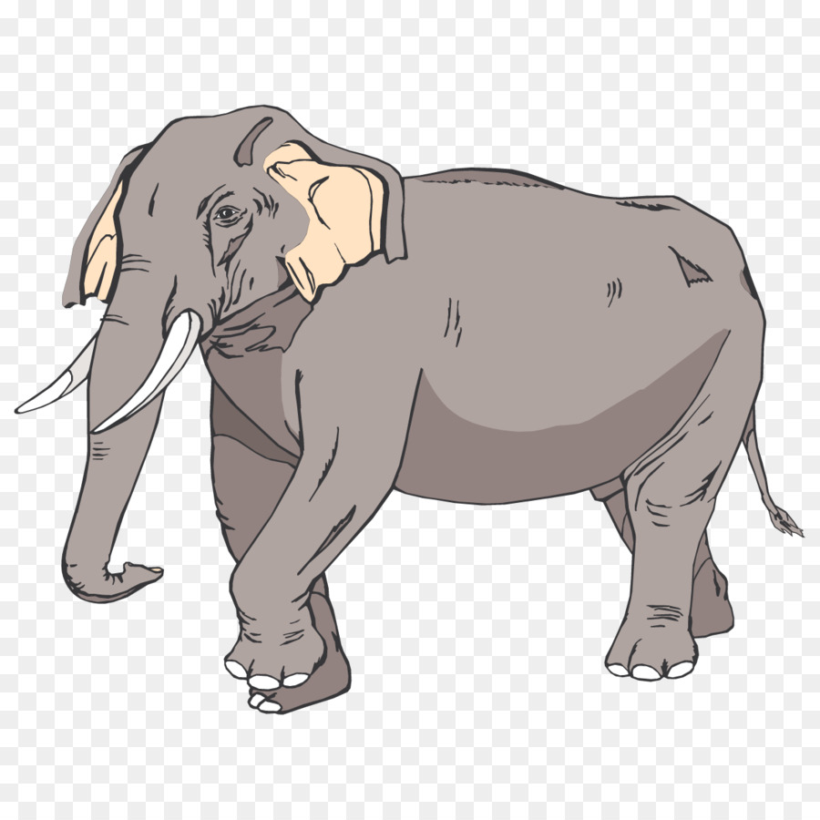 Asian elephant Clip art - elephants png download - 1200*1200 - Free Transparent Asian Elephant png Download.