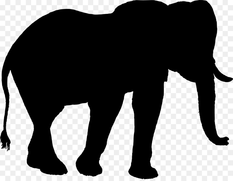 Indian elephant African elephant Silhouette Clip art -  png download - 2400*1849 - Free Transparent Indian Elephant png Download.
