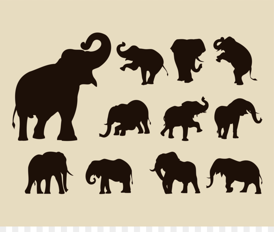 African elephant Indian elephant Silhouette - rhino png download - 1136*936 - Free Transparent African Elephant png Download.