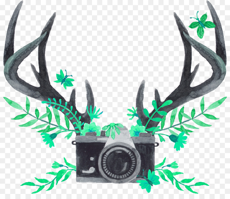 Antler Watercolor painting Reindeer Tmall - Green Simple Antlers Camera Decorative Patterns png download - 3451*2926 - Free Transparent Antler png Download.