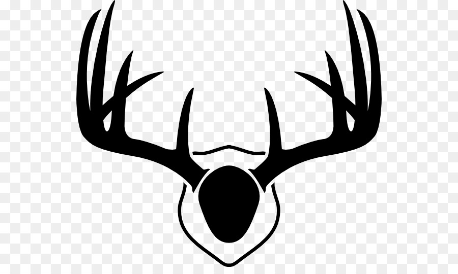 White-tailed deer Elk Reindeer Red deer - Skull Antlers Cliparts png download - 600*526 - Free Transparent Deer png Download.